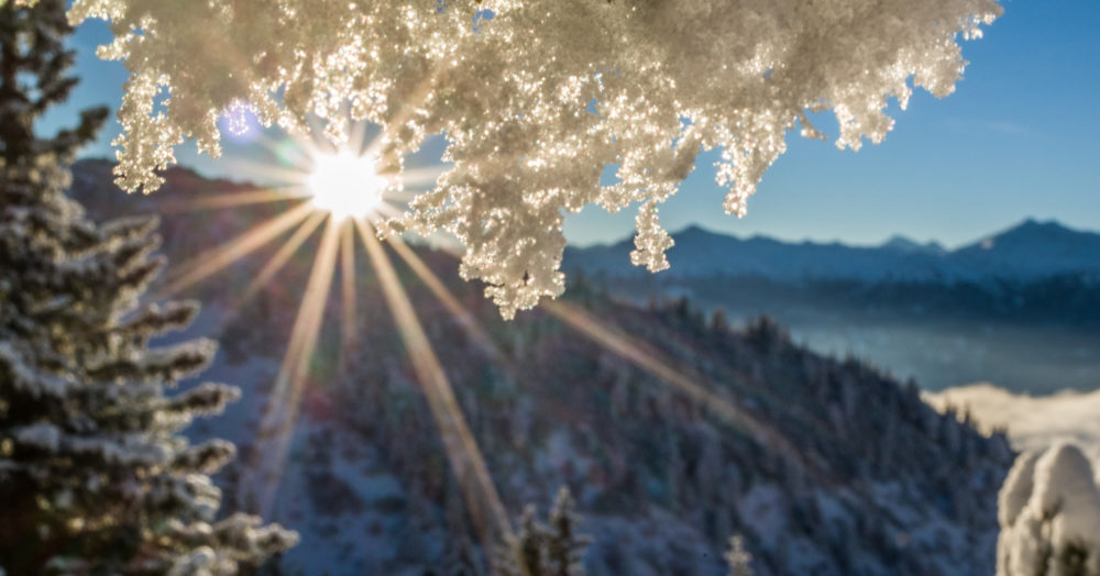 The morning sun flares bright over a snowy hillside, radiating beams of light past and through a frost-covered branch in the foreground.