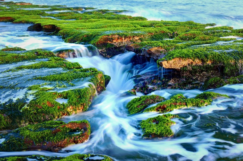 A briskly frothing river winds between verdant, plant-covered rocks